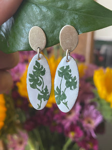 Rhaphidophora Enamel Earings