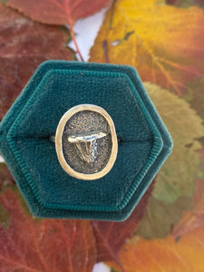 Shelf Mushroom Shadowbox Rings