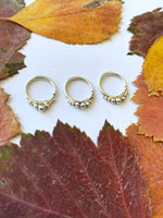 Load image into Gallery viewer, Garden Wall Septum Ring
