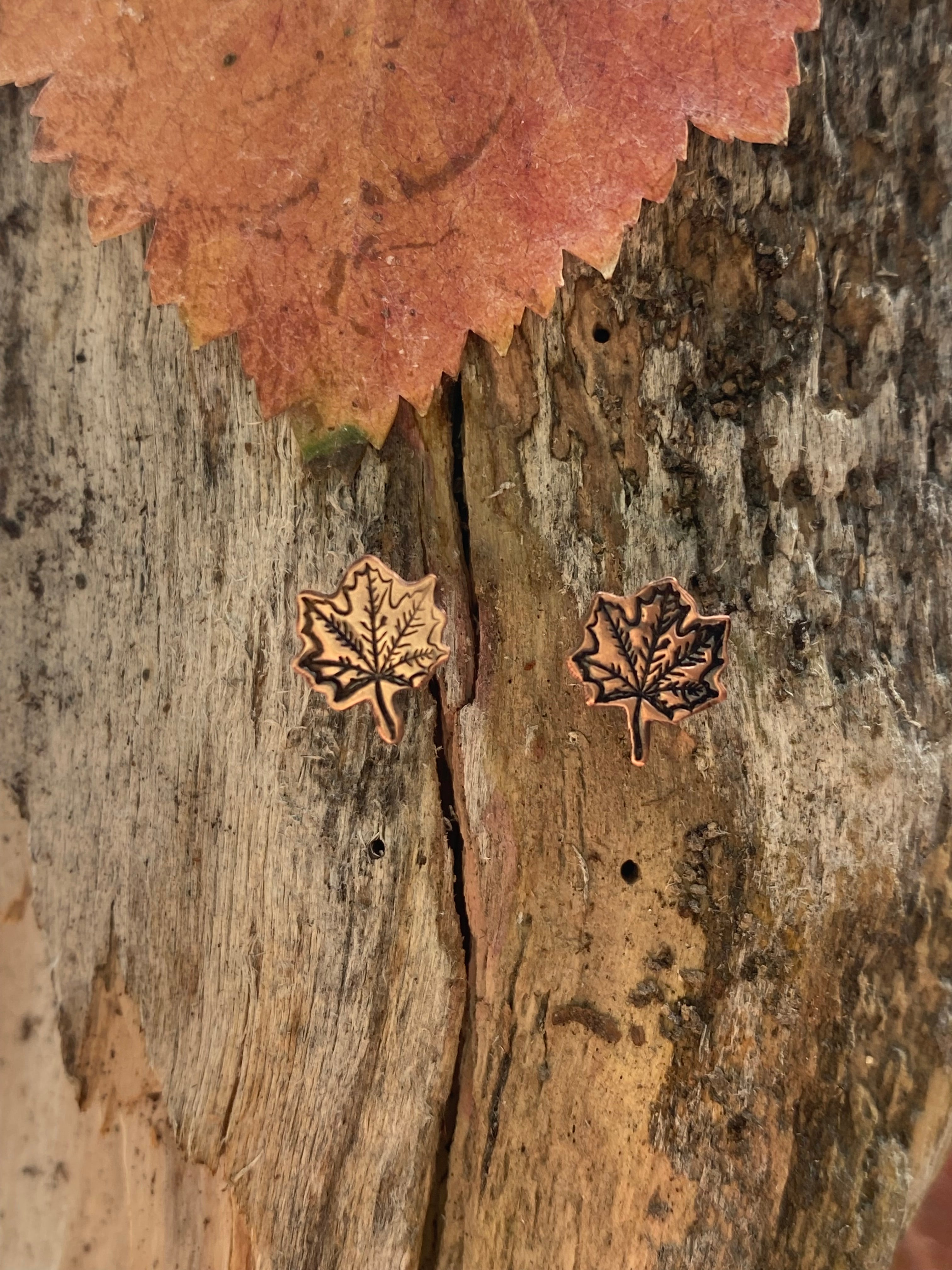 Maple Leaf Studs